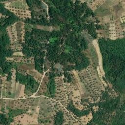 Satellite imagery of M.F., ES