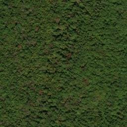 Satellite imagery of Bush Ridge, US