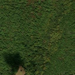Satellite imagery of Bush Ridge, US