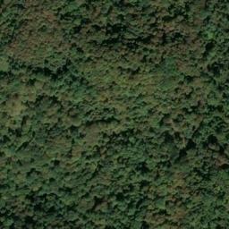 Satellite imagery of Taylor Ridge, US