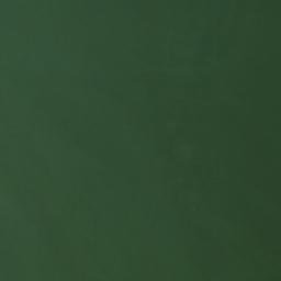 Satellite imagery of Bluegill Point, US