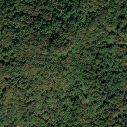 Satellite imagery of Taylor Ridge, US