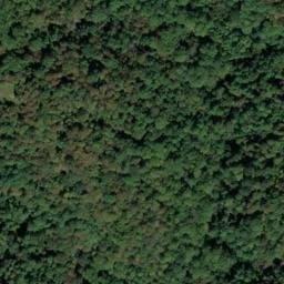 Satellite imagery of Taylor Ridge, US
