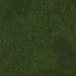 Satellite imagery of Maynardier Ridge, US