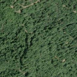 Satellite imagery of Packard Ridge, US