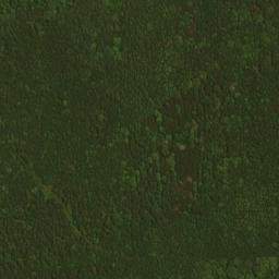 Satellite imagery of Maynardier Ridge, US