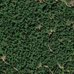 Satellite imagery of Harrison Ridge, US