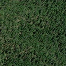 Satellite imagery of Wideawake Mine, US