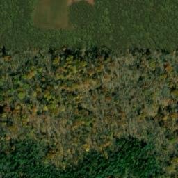 Satellite imagery of Maynardier Ridge, US