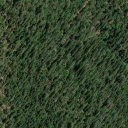 Satellite imagery of Craigs Flat Placer Diggings, US