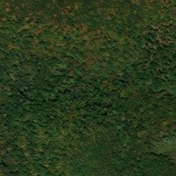 Satellite imagery of Pea Ridge, US