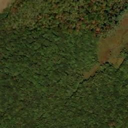 Satellite imagery of Fourmile Ridge, US