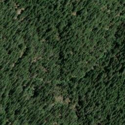 Satellite imagery of Craigs Flat Placer Diggings, US