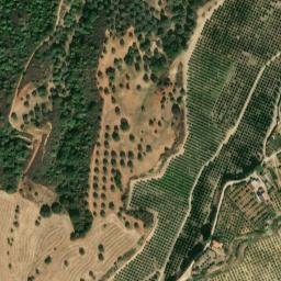 Satellite imagery of Villa Salvidio, IT