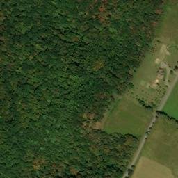 Satellite imagery of Pea Ridge, US