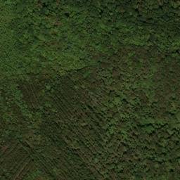 Satellite imagery of Turkey Lodge Ridge, US
