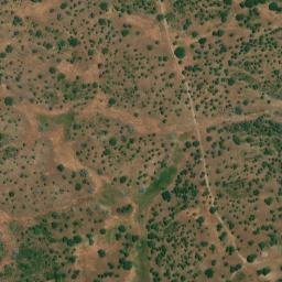 Satellite imagery of survey_point, PT
