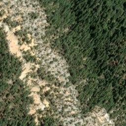 Satellite imagery of Bee Tree Borrow Pit, US