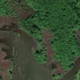 Satellite imagery of Penns Neck, US
