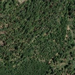 Satellite imagery of Bee Tree Borrow Pit, US