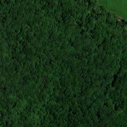 Satellite imagery of Fern Cliff, US