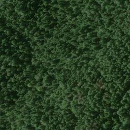 Satellite imagery of Lewis Ridge, US
