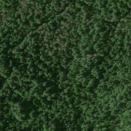 Satellite imagery of Lewis Ridge, US
