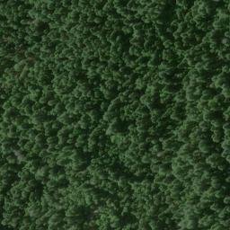 Satellite imagery of Lewis Ridge, US