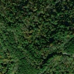 Satellite imagery of Merrell Ridge, US