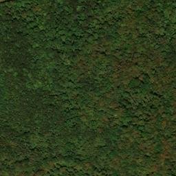 Satellite imagery of Squirrel Neck, US