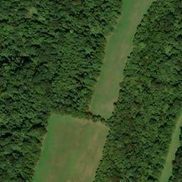 Satellite imagery of Nicholas Ridge, US