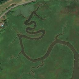 Satellite imagery of Cedar Point, US