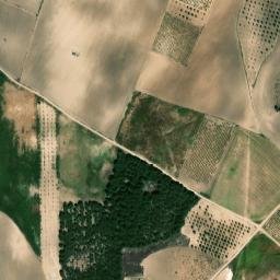 Satellite imagery of survey_point, ES