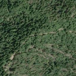 Satellite imagery of Bucha Ridge, US