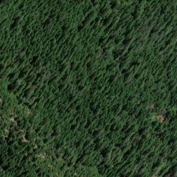 Satellite imagery of Standard Mine, US