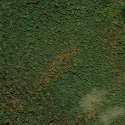 Satellite imagery of Point Ridge, US