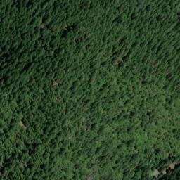 Satellite imagery of Gold Bluff Mine, US
