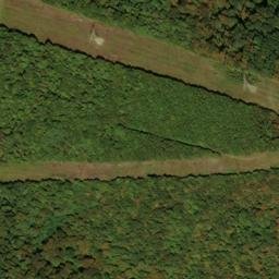 Satellite imagery of Point Ridge, US