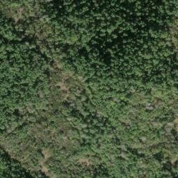 Satellite imagery of Shimmin Ridge, US