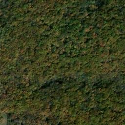 Satellite imagery of Dog Ridge, US