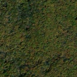 Satellite imagery of Dog Ridge, US