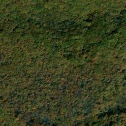 Satellite imagery of Dog Ridge, US