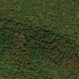 Satellite imagery of Point Ridge, US