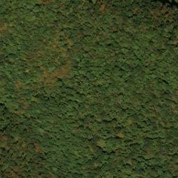 Satellite imagery of Point Ridge, US