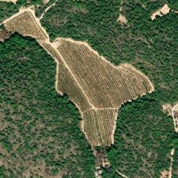 Satellite imagery of survey_point, ES