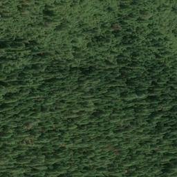 Satellite imagery of Gold Point Mine, US