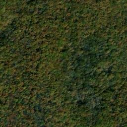 Satellite imagery of Dog Ridge, US