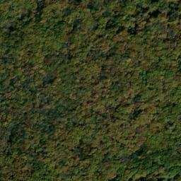 Satellite imagery of Dog Ridge, US