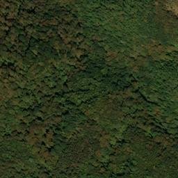 Satellite imagery of Warnick Point, US
