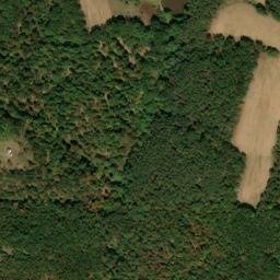 Satellite imagery of Walnut Ridge, US